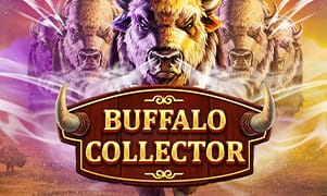 Buffalo Collector